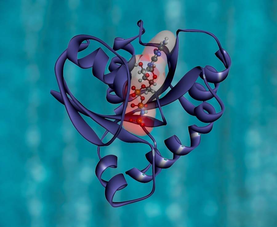 abcdhe-16