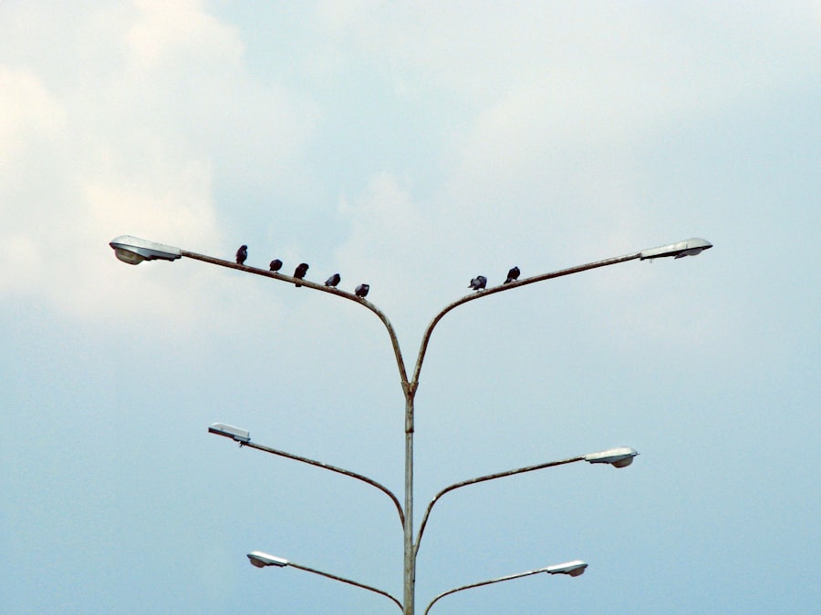 gestionale