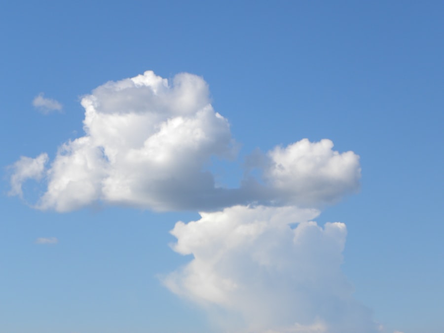 gestionali cloud