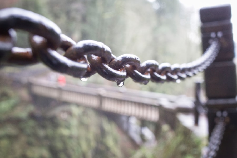 Photo Blockchain-based management systems