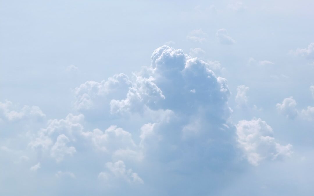 “Perché i gestionali cloud sono più convenienti”