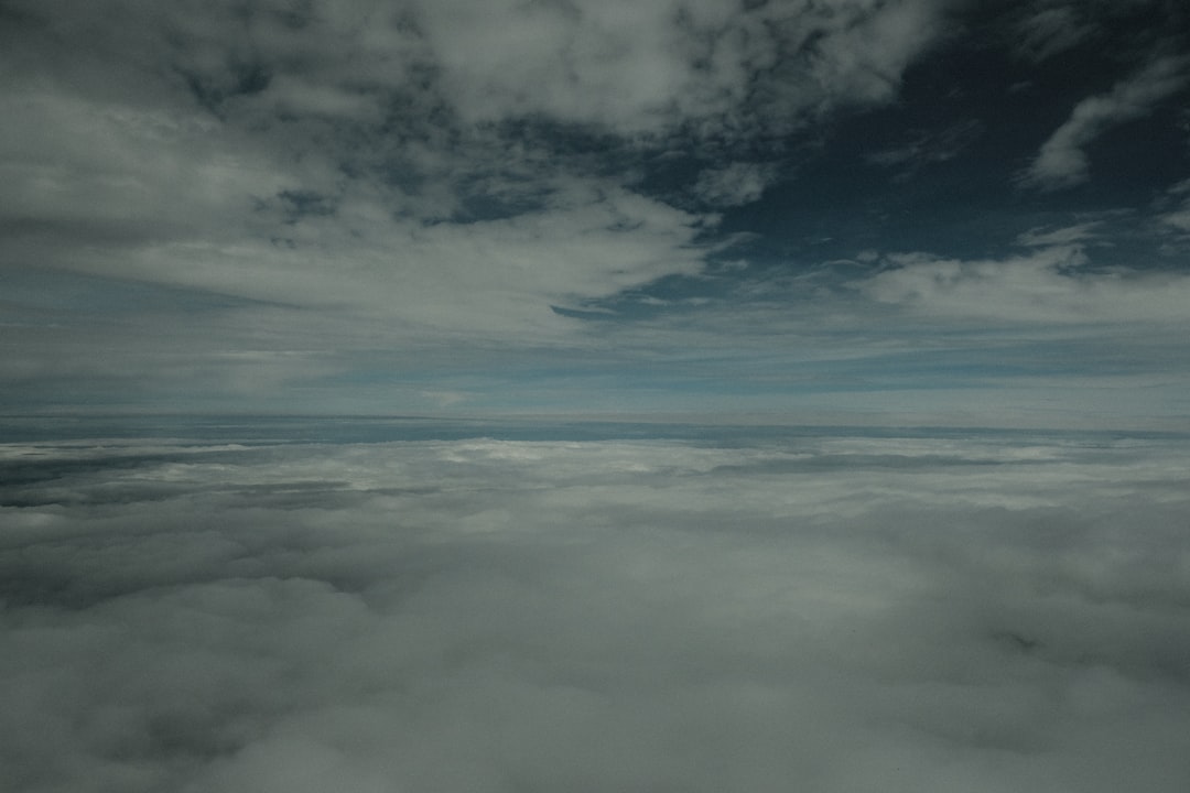 image-175