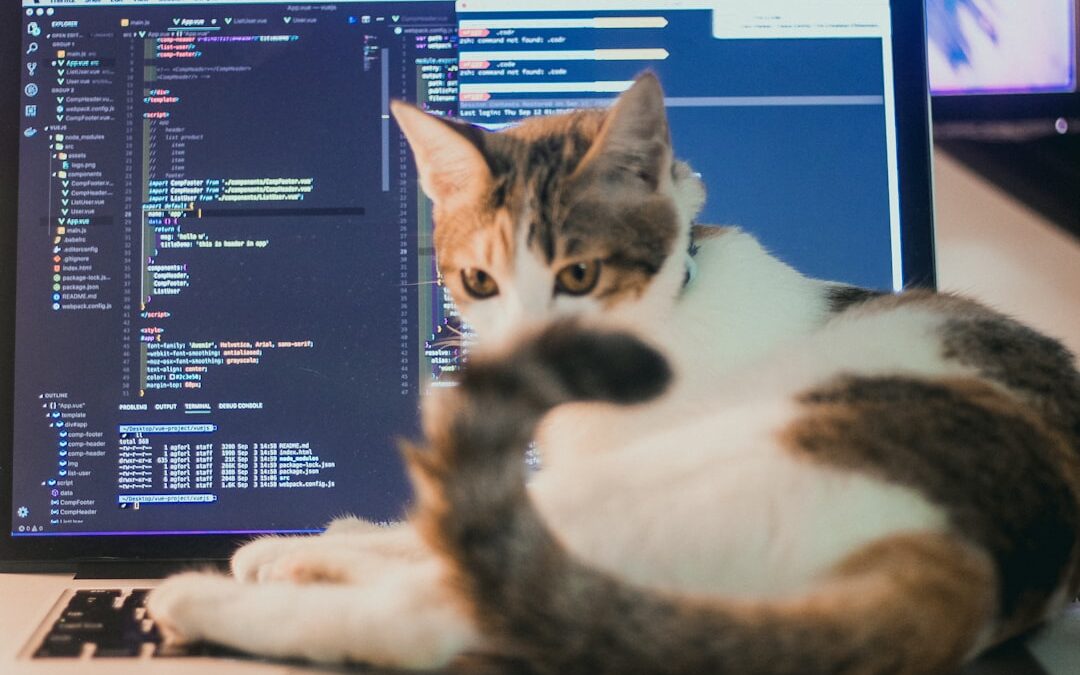 Integrazione del Software Gestionale con Strategie di Marketing