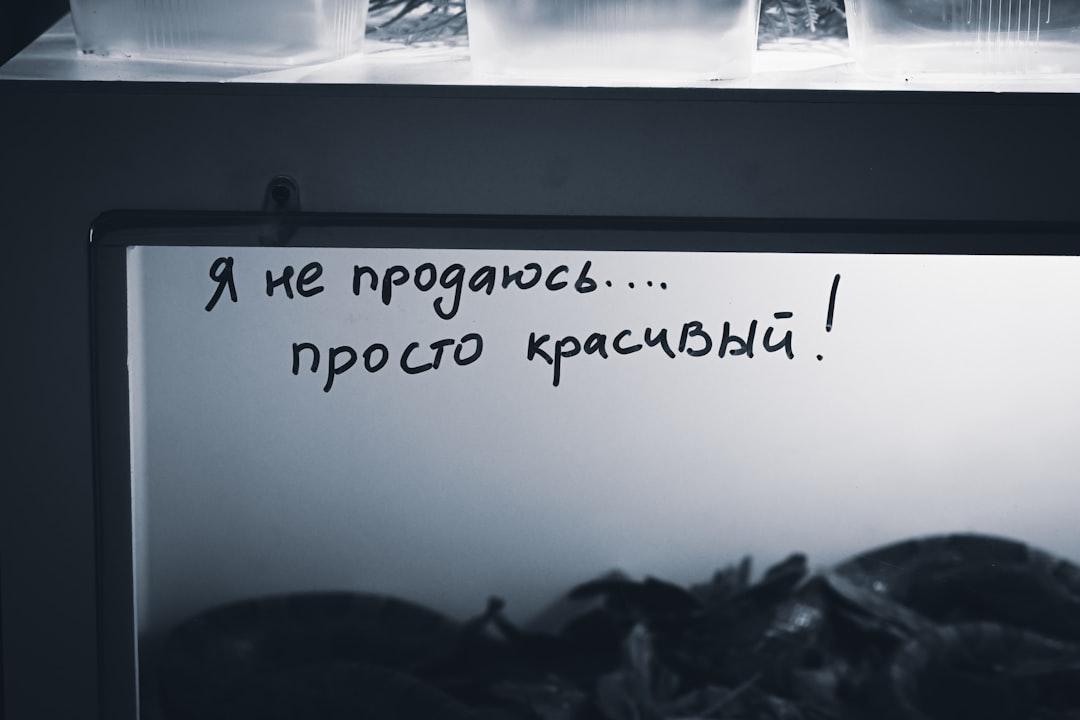 image-30