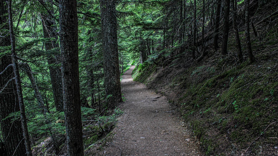 Photo Audit trail