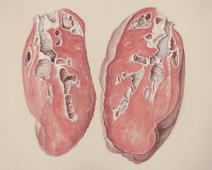 Costellatori