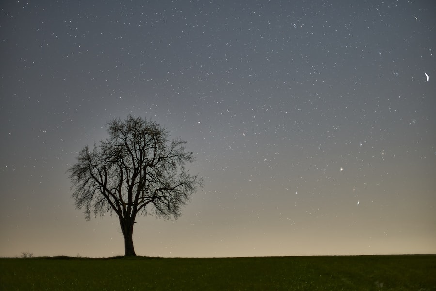Constellations family therapy
