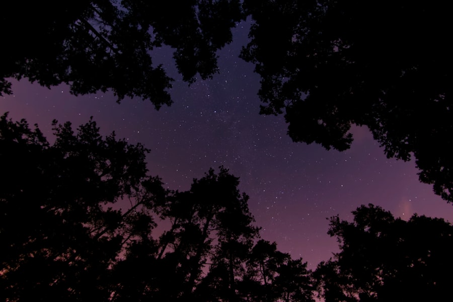 Constellations Family Therapy