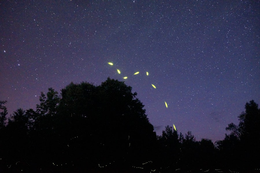 family constellations
