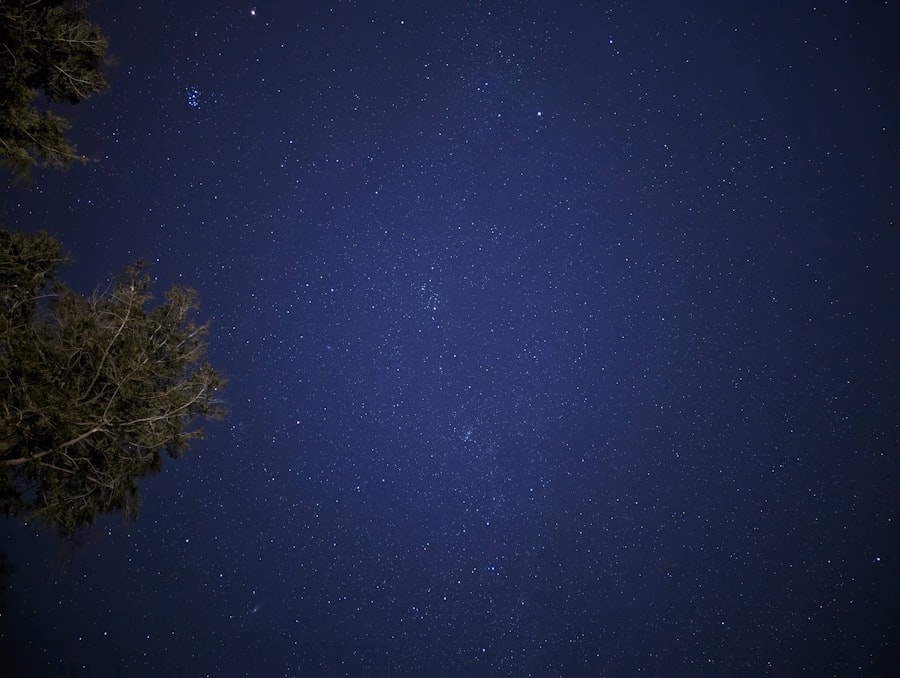 Photo Constellations Family Therapy