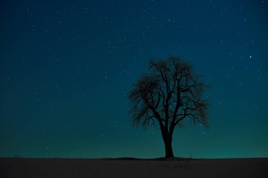 Photo Constellations Family Therapy