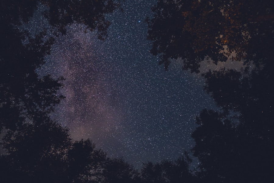Photo Constellations Family Therapy