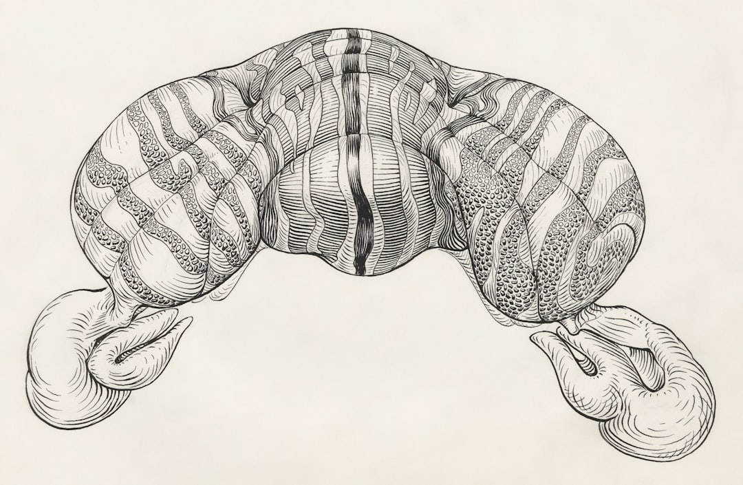 image-66