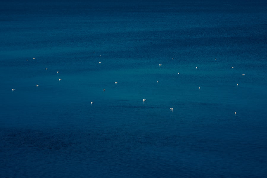Photo Online Family Constellations Training