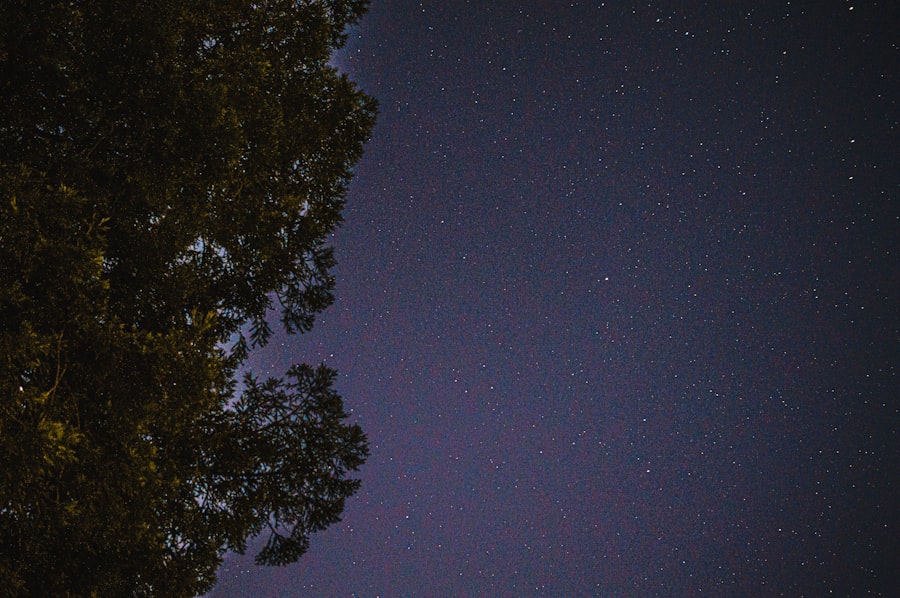 Constellations Family Therapy