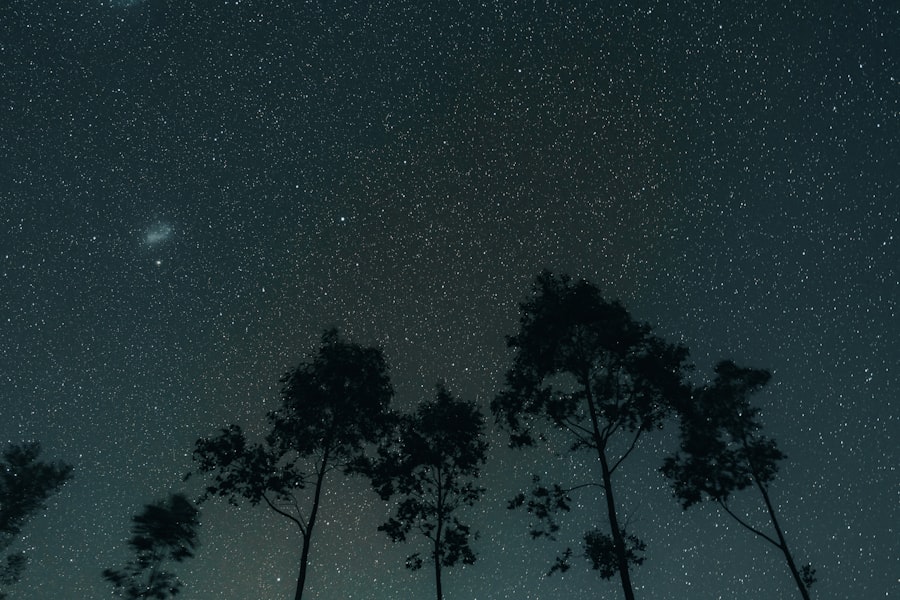 Family Constellations Online