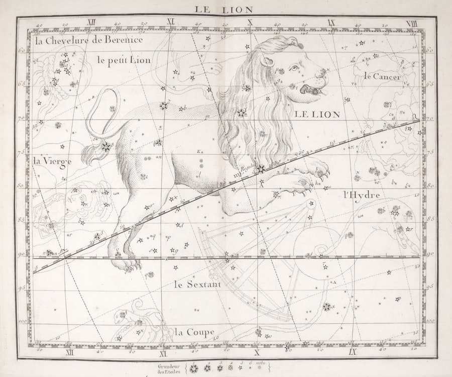 Hellinger Family Constellations