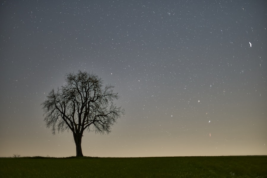 Constellations Family Therapy