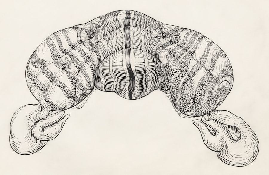Costellatori