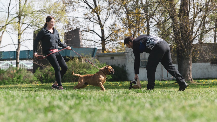 Professional Dog Training