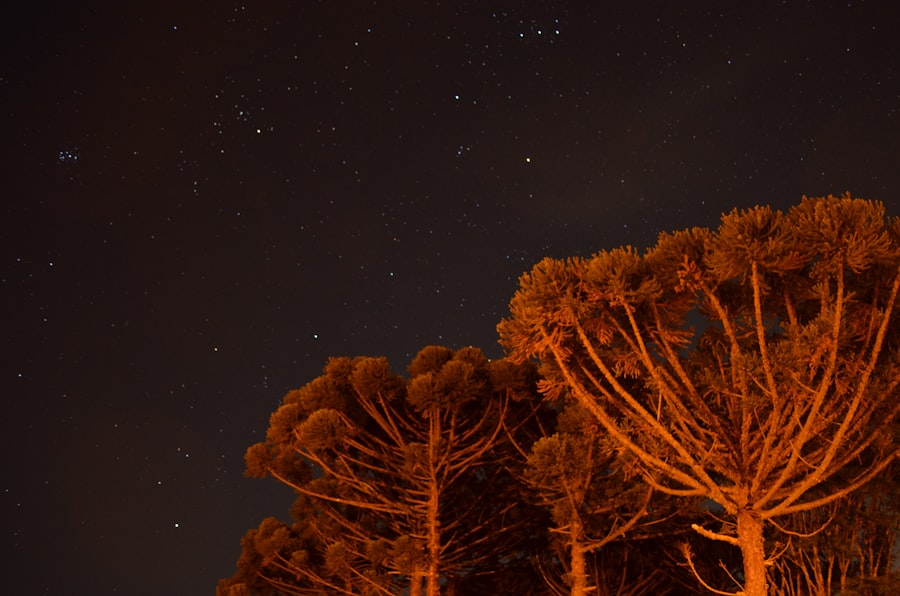 Photo Constellations