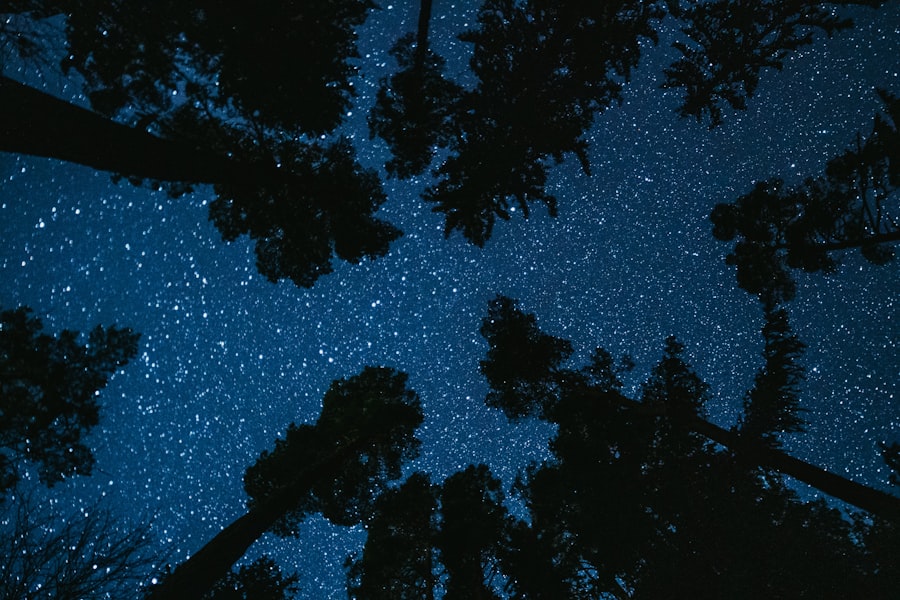 Photo Family Constellations