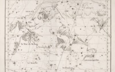 Risolvere i Nodi Familiari: Il Potere Trasformativo delle Costellazioni Sistemiche