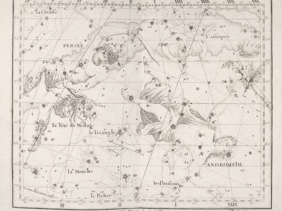 Risolvere i Nodi Familiari: Il Potere Trasformativo delle Costellazioni Sistemiche